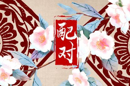 属相婚配：民俗辅助视角